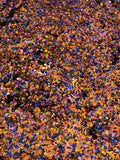 SUNSET - Purple, Blue, Burnt Orange & Pink Glitter Mix - Chunky - Polyester Glitter - Solvent Resistant