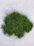 MISTLETOE GREEN - Dark Green Ultra Fine Loose Glitter - Polyester Glitter - Solvent Resistant
